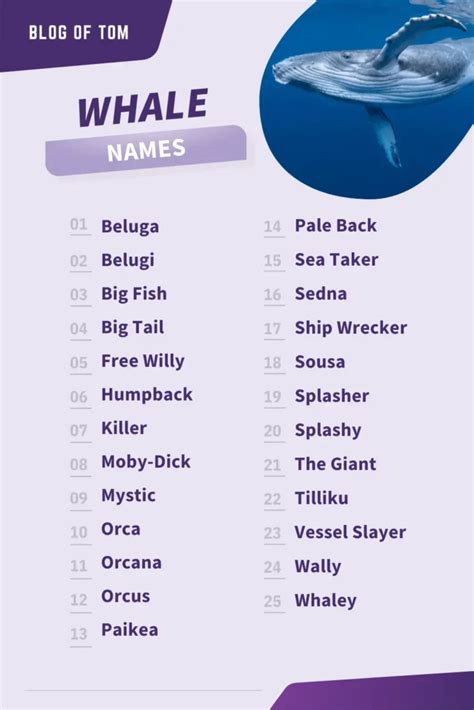 whaleofname|female whale name.